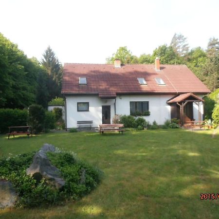 Ubytovani U Machova Jezera - Apartmany - Ludmila Grulisova 多克西 外观 照片