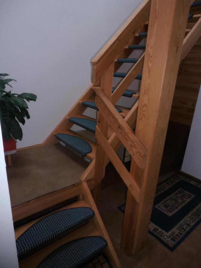 Ubytovani U Machova Jezera - Apartmany - Ludmila Grulisova 多克西 外观 照片