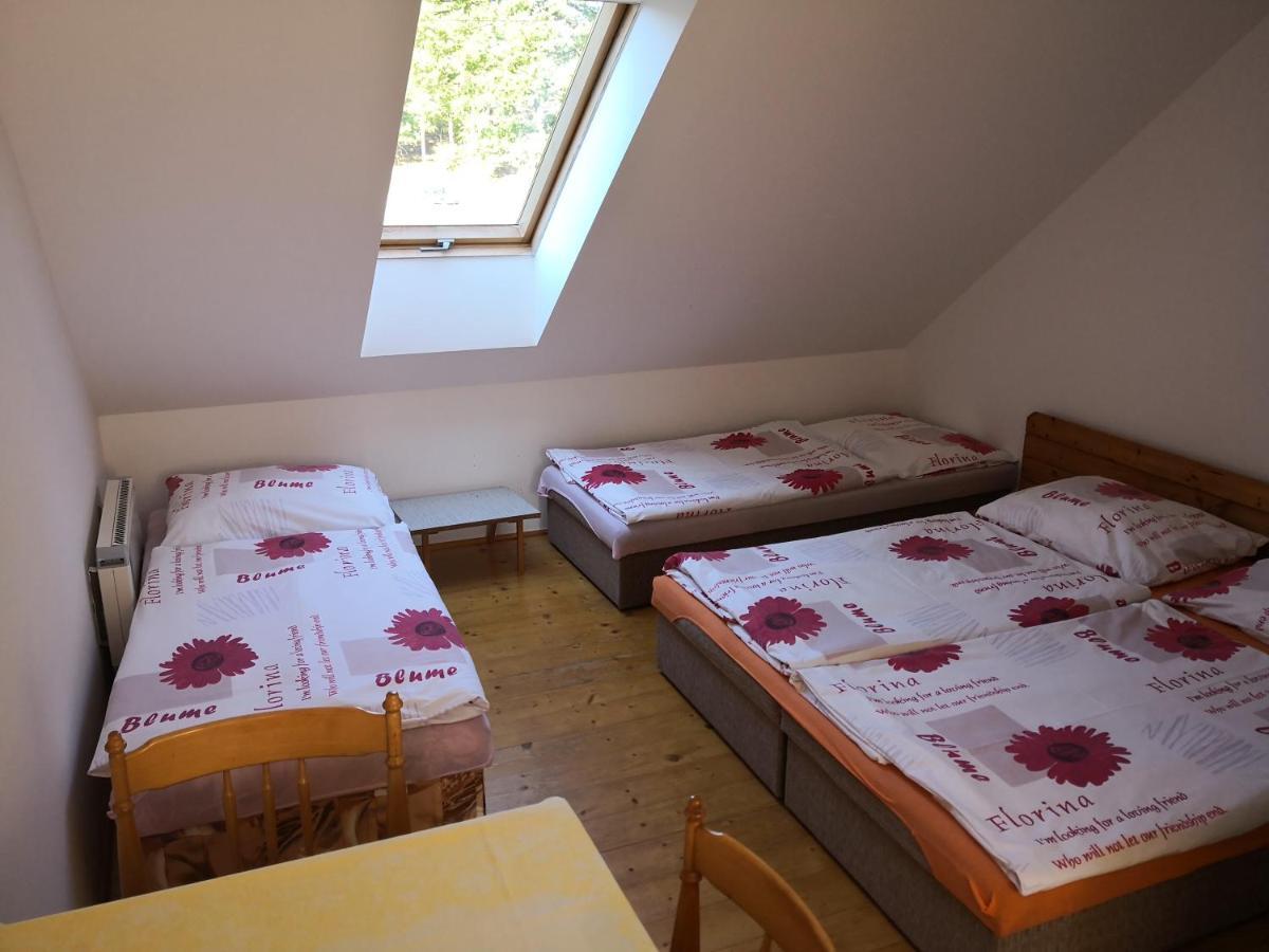 Ubytovani U Machova Jezera - Apartmany - Ludmila Grulisova 多克西 外观 照片