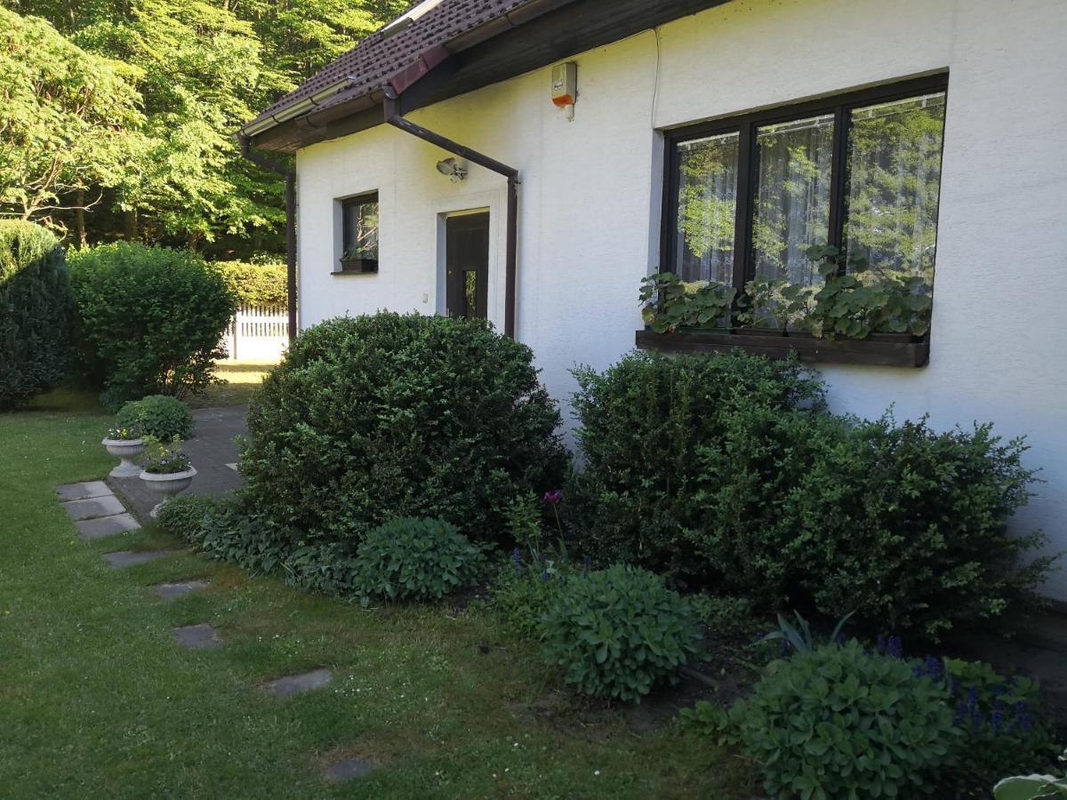 Ubytovani U Machova Jezera - Apartmany - Ludmila Grulisova 多克西 外观 照片